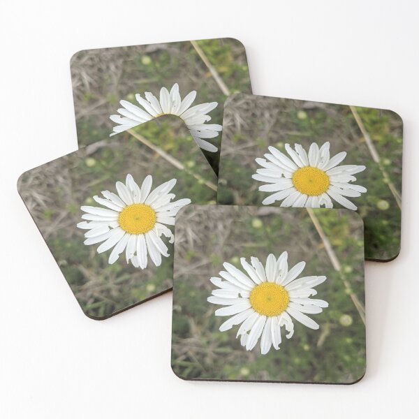 Item preview, Tattered Daisy designed and sold by TheRealDanniX.