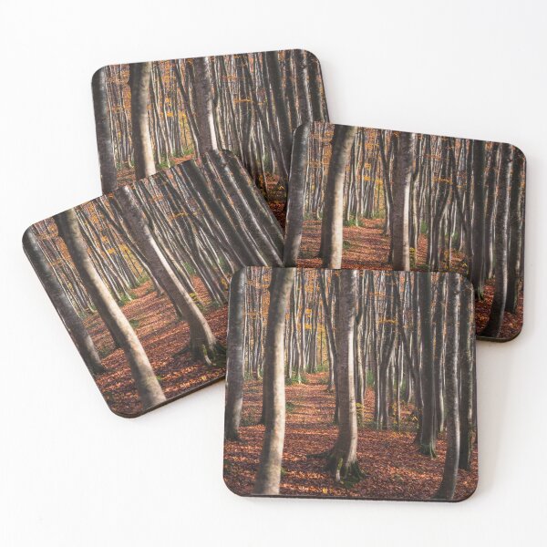 Item preview, Autumn Path in Niigata, Japan designed and sold by Jordan McChesney.