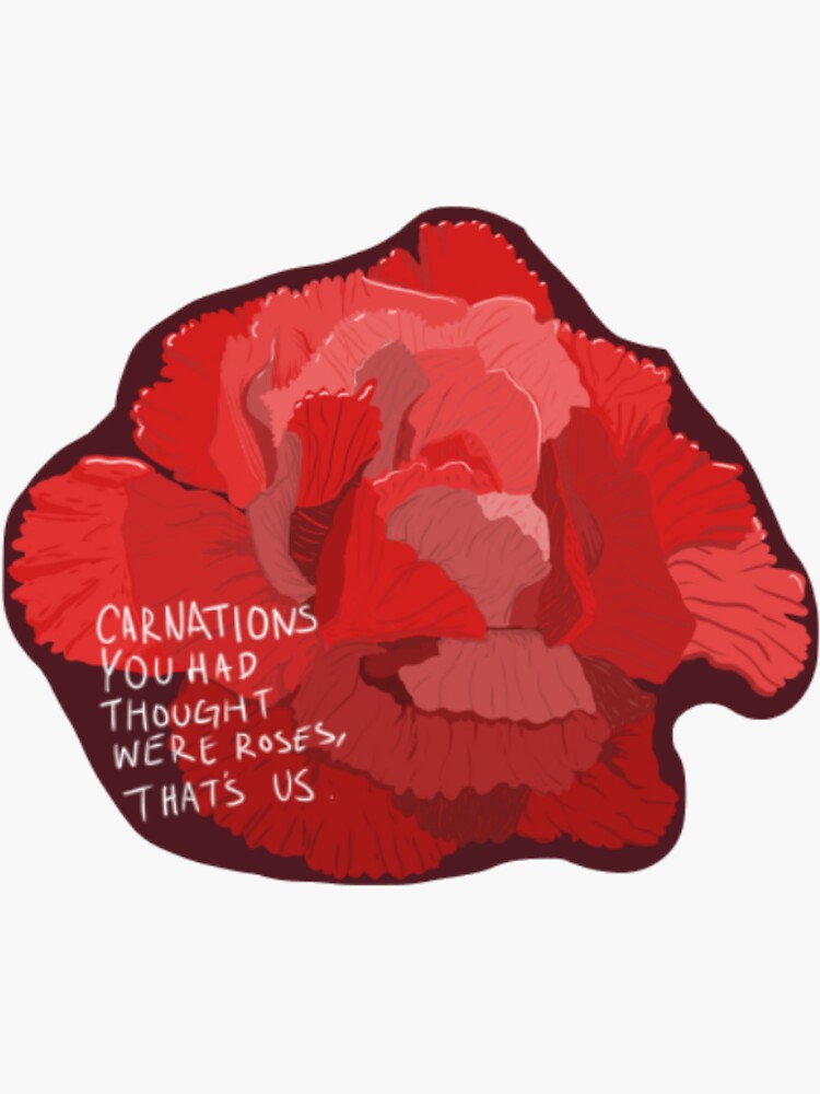 "Maroon Taylor Swift "Carnations You Though Were Roses" lyrics larger" Sticker for Sale by