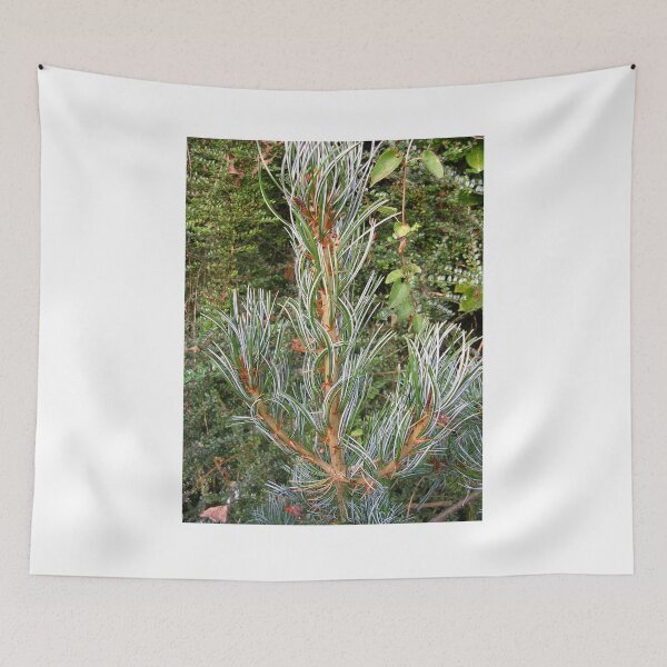 Item preview, Young Pine designed and sold by lezvee.