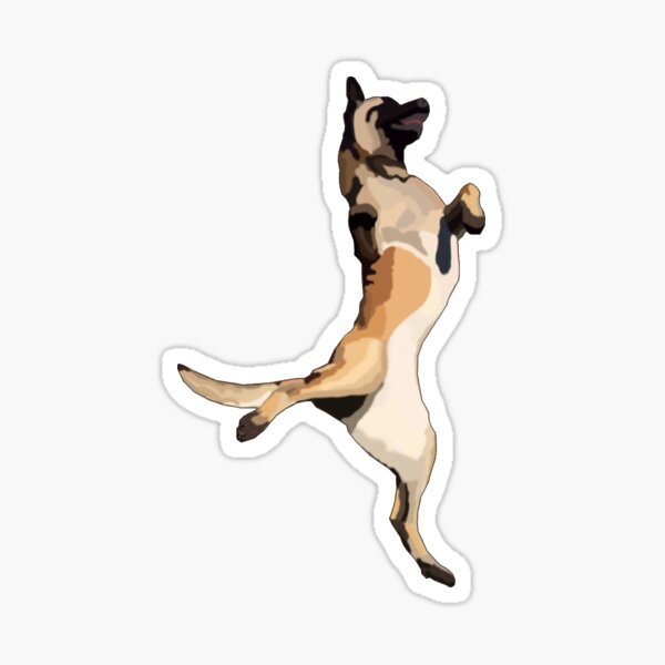 Perro malinois bailando Pegatina