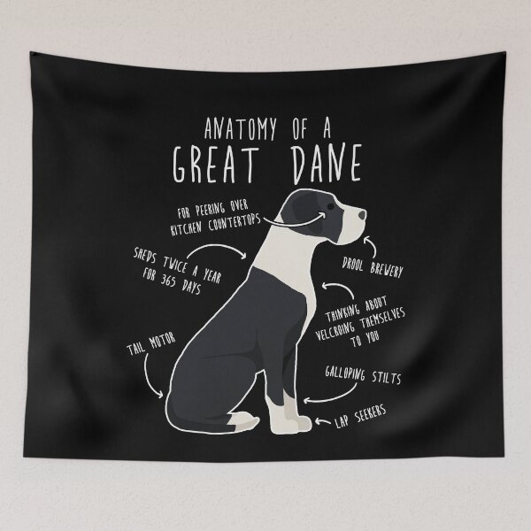 Item preview, Mantle Great Dane Dog Anatomy designed and sold by Clara Hollins.