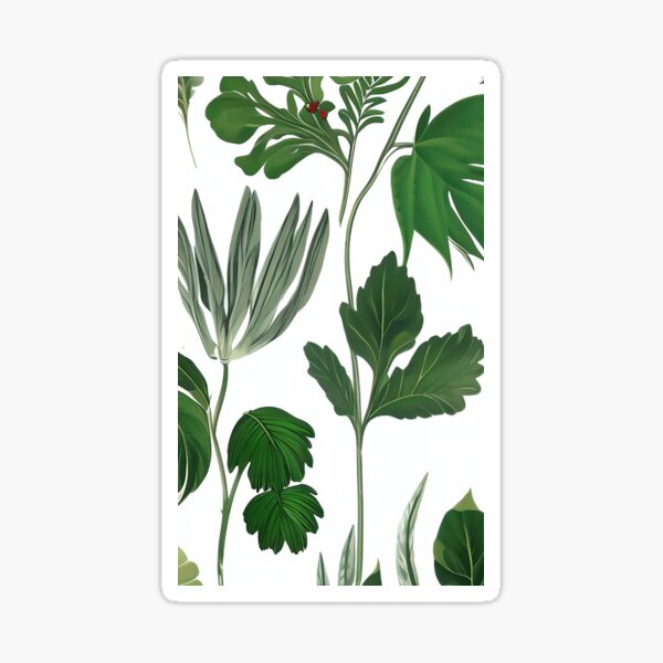 Boho art a botanical print of nature simple clean minimal bohemian Sticker
