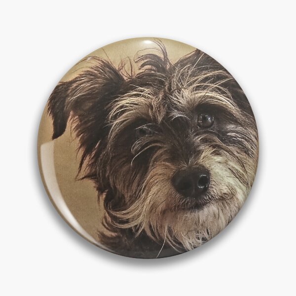 Item preview, Scruffy, Posing designed and sold by heatherfriedman.