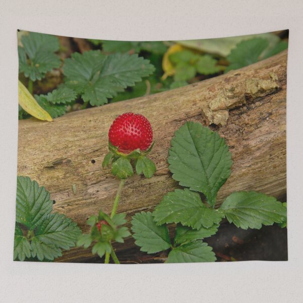 Item preview, Wild strawberry designed and sold by xophotography.