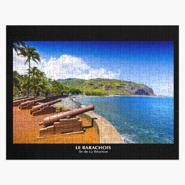 Aperçu de l'œuvre Le Barachois à l'Ile de La Réunion créée et vendue par Gaël FONTAINE.