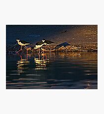 Stilts Photographic Print