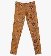 Love Letter From My Dog Leggings