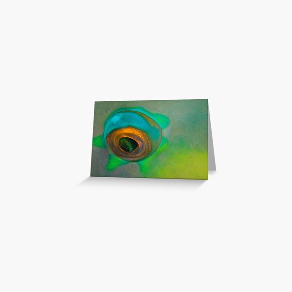 Fish eye Greeting Card