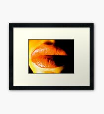 Rocky Horror Framed Print