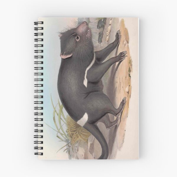 Item preview, Tasmanian Devil Australian mammal marsupial painting – John Gould naturalist designed and sold by bushwombat.