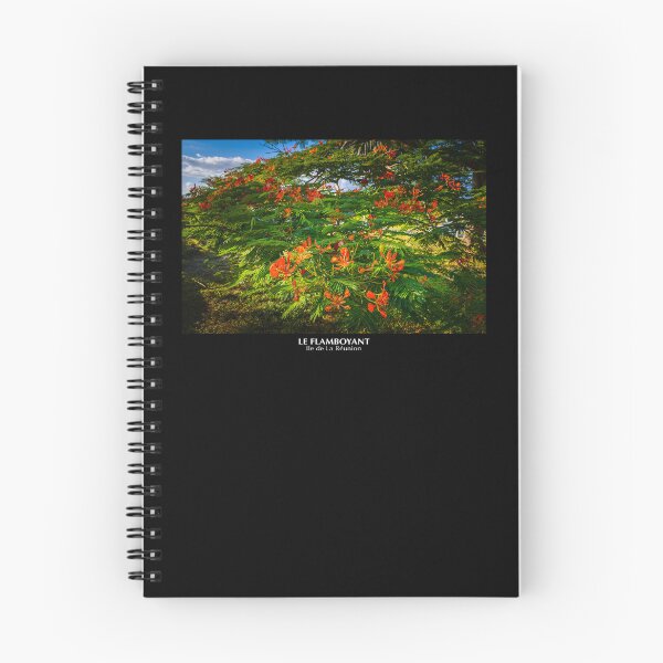 Item preview, Flamboyant on Reunion Island designed and sold by Gaël FONTAINE.