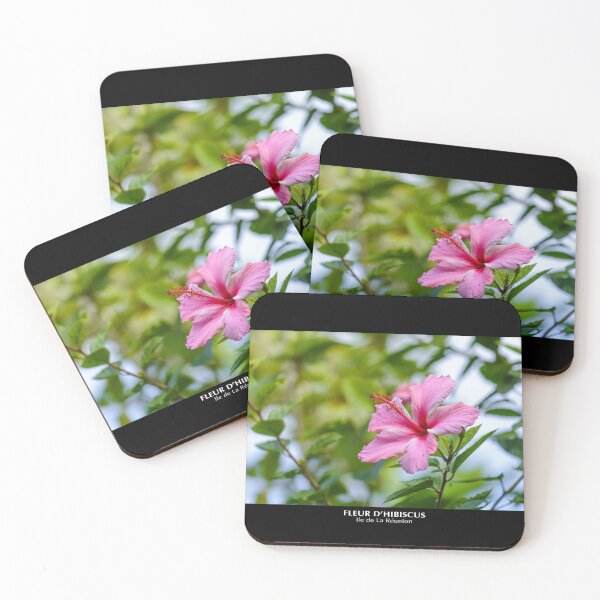 Item preview, Hibiscus flower in Reunion Island designed and sold by Gaël FONTAINE.