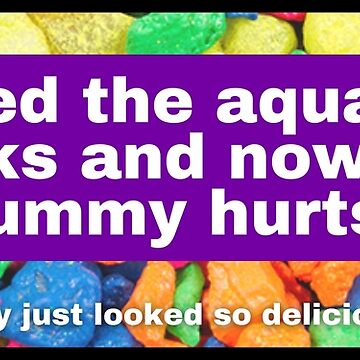 I Eat Aquarium Rocks Just A Little Bit Sometimes As A Treat Funny Fish Blue  Sticker, Funny Bumper Sticker for Car Truck, Waterproof UV-Resistant Sticker  Size 3x9 inches - Yahoo Shopping