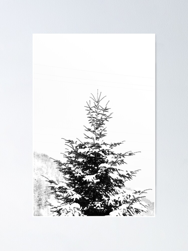 Beau portrait de sapin enneig noir et blanc minimal dans le paysage hivernal. Poster