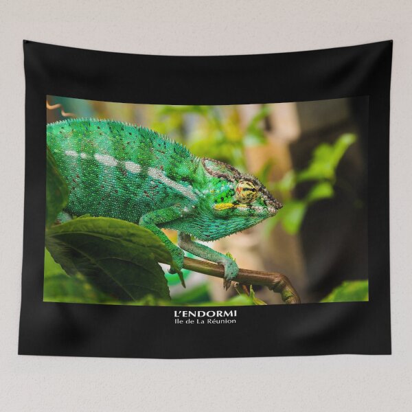 Item preview, Sleeping on Reunion Island designed and sold by Gaël FONTAINE.
