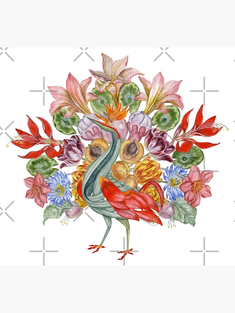 Botanical Watercolor Peacock by HajraMeeks