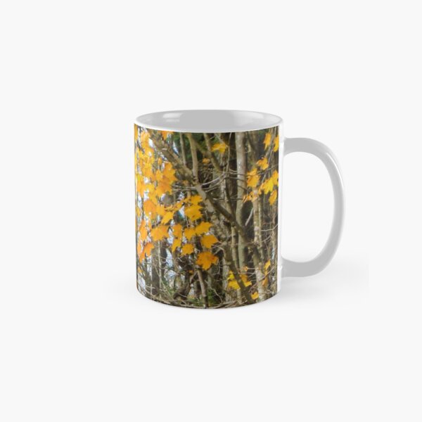 Autumn woods Classic Mug
