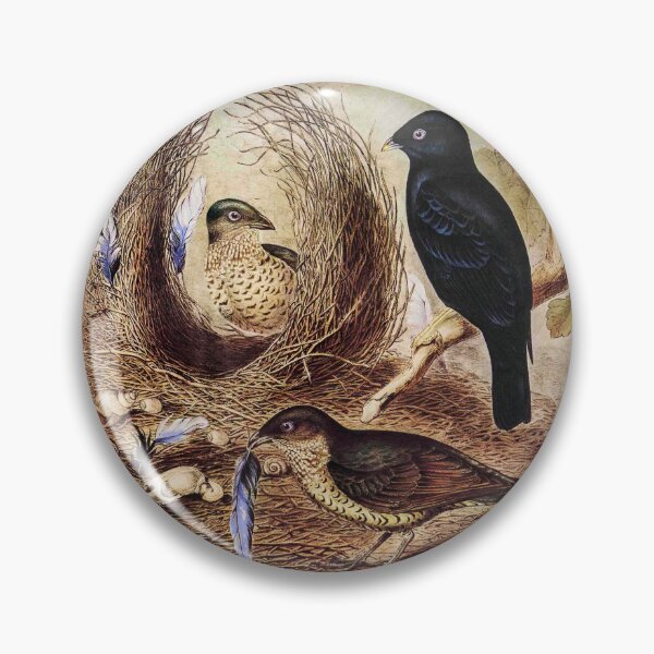 Item preview, Australian bowerbird that collects blue trinkets– Gould designed and sold by bushwombat.