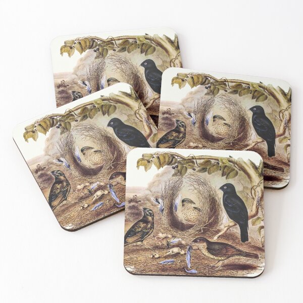 Item preview, Australian bowerbird that collects blue trinkets– Gould designed and sold by bushwombat.
