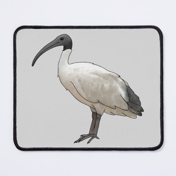Item preview, Bin Chicken designed and sold by Meowmaddie.