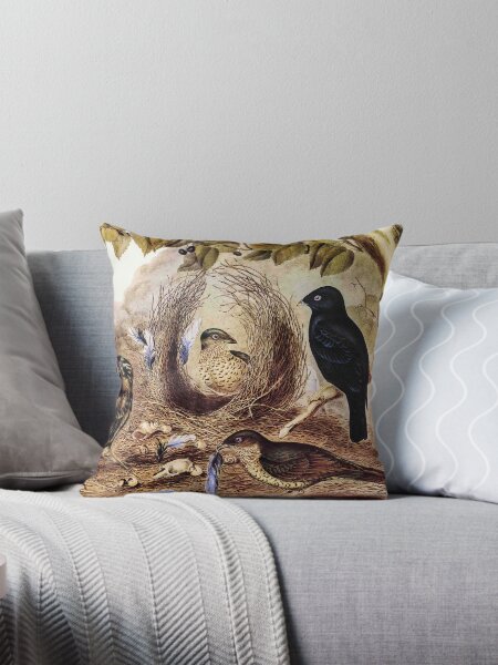 Item preview, Australian bowerbird that collects blue trinkets– Gould designed and sold by bushwombat.