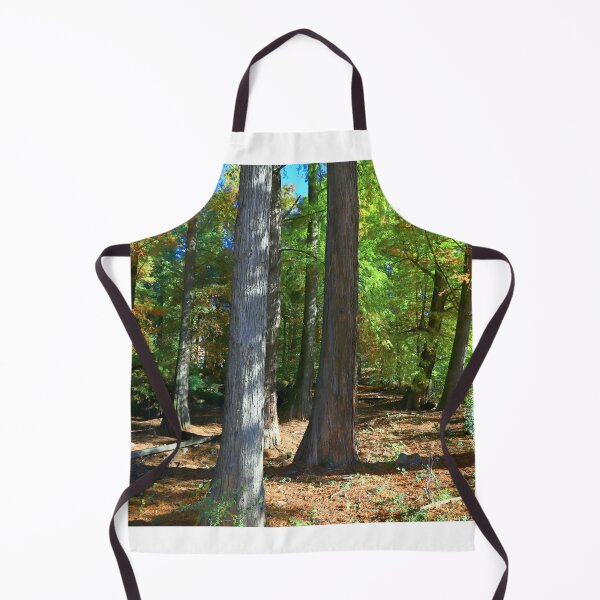 Item preview, The forest of Taxodi designed and sold by annalisa56.