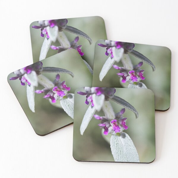 Item preview, Lambs Ear Plant Flowers  designed and sold by Joy Watson - Natural Light Photography .