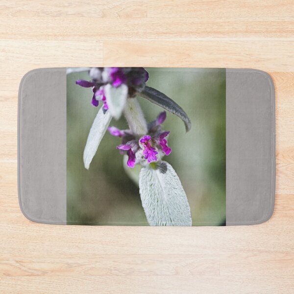 Item preview, Lambs Ear Plant Flowers  designed and sold by Joy Watson - Natural Light Photography .