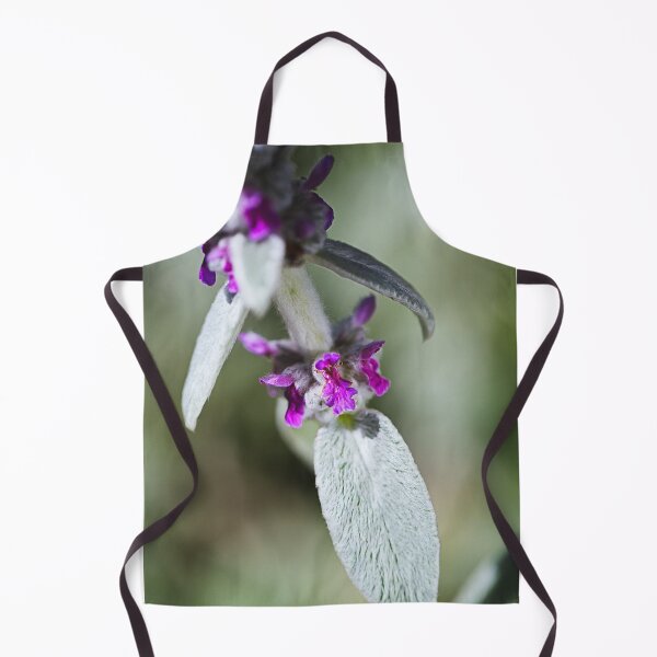 Item preview, Lambs Ear Plant Flowers designed and sold by Joy Watson - Natural Light Photography .