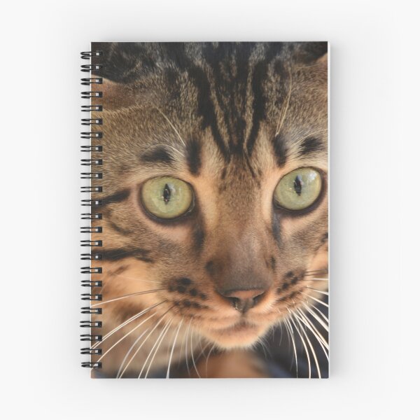 Item preview, Curiosity of a Cat ... what a cutie! designed and sold by Poete100.