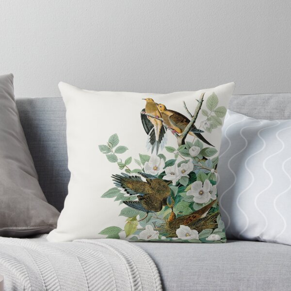Item preview, Carolina Turtle Dove,  Birds of America by John James Audubon designed and sold by VintageArchive.