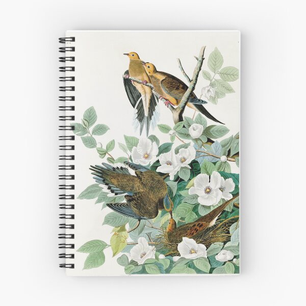 Item preview, Carolina Turtle Dove,  Birds of America by John James Audubon designed and sold by VintageArchive.