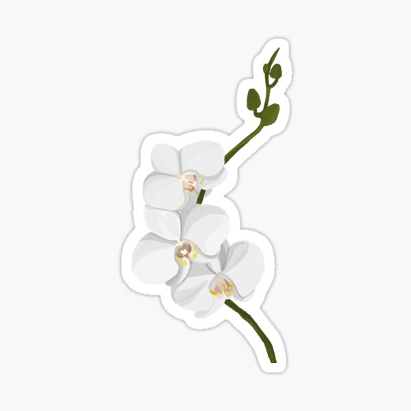 Item preview, White Orchids designed and sold by Alkoohejin2.