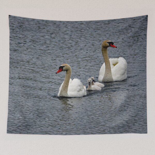 Item preview, Swans 360 designed and sold by Strawflower Oasis.
