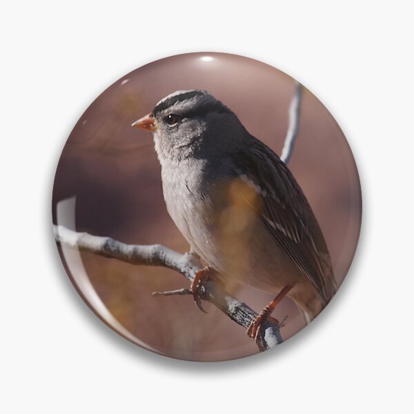 Item preview, White-crowned Sparrow in Desert designed and sold by Chibi Photography.