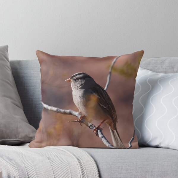 Item preview, White-crowned Sparrow in Desert designed and sold by Chibi Photography.