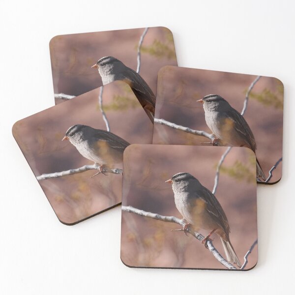 Item preview, White-crowned Sparrow in Desert designed and sold by Chibi Photography.
