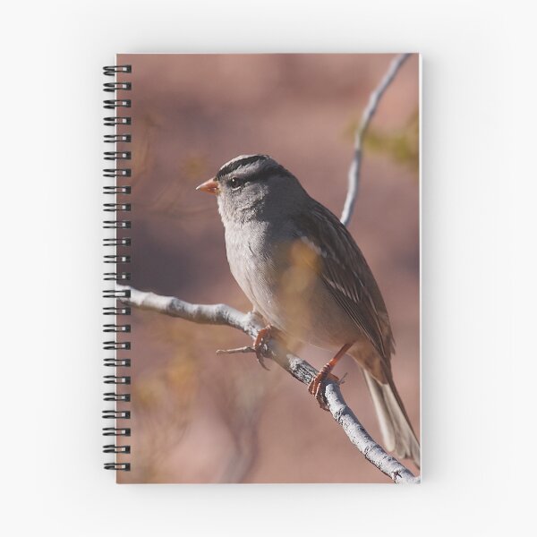 Item preview, White-crowned Sparrow in Desert designed and sold by Chibi Photography.