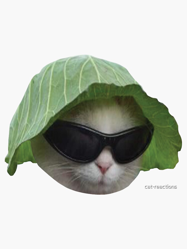 Sticker for Sale avec l'œuvre « Lunettes de soleil Chat Meme