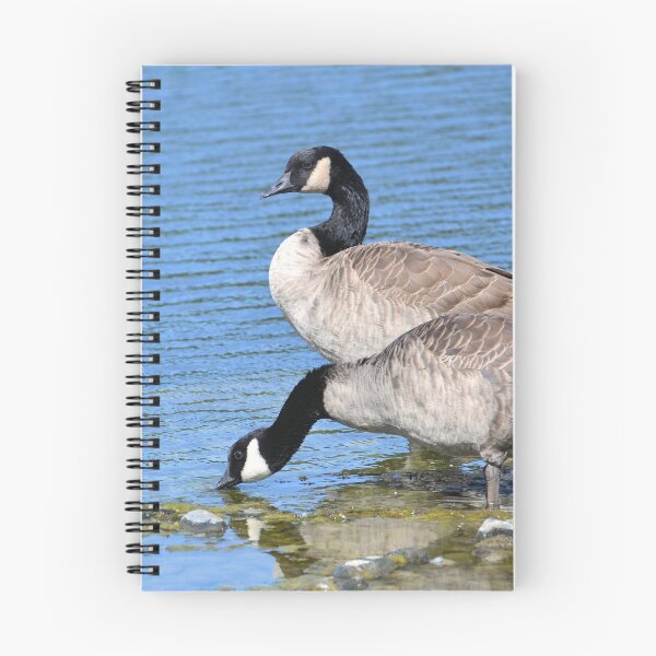 Item preview, Two Canadian Geese designed and sold by Kathleen Brant.