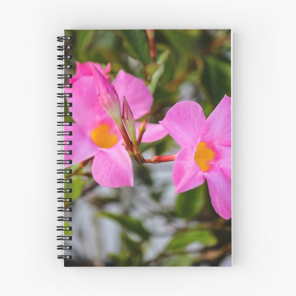 Item preview, Mandevilla Vine designed and sold by Bob Hardy.