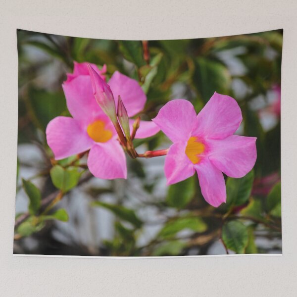 Item preview, Mandevilla Vine designed and sold by Bob Hardy.