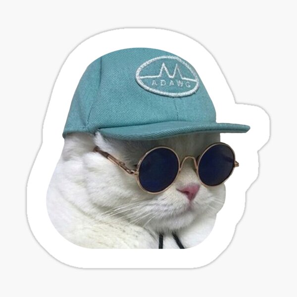 "Sunglasses Cat Meme 1 (White Outline)" Sticker for Sale by catreactions Redbubble