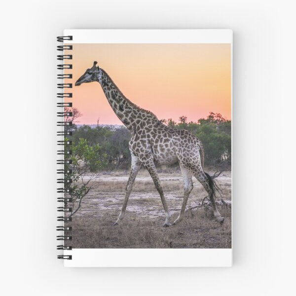 Aperçu de l'œuvre Girafe à l'aube 2 créée et vendue par Christina Backus.