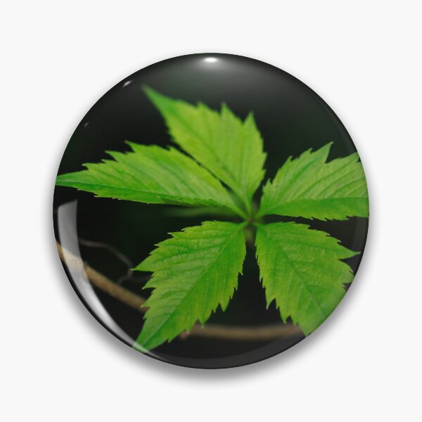 Item preview, Green leaves on spring tree designed and sold by olena2552.