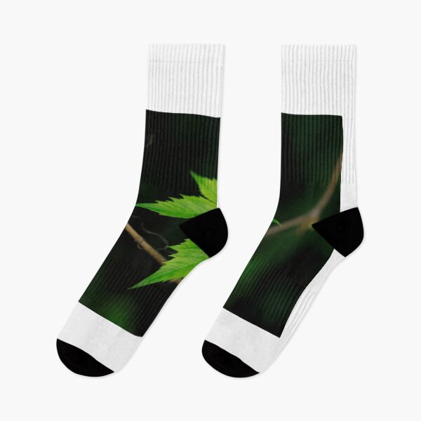 Item preview, Green leaves on spring tree designed and sold by olena2552.