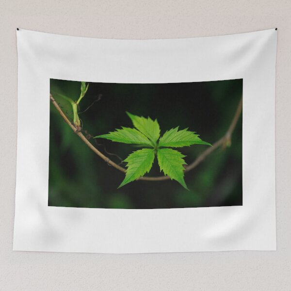 Item preview, Green leaves on spring tree designed and sold by olena2552.
