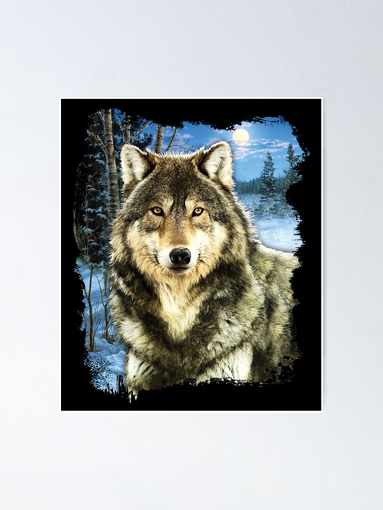 Big Grey Wolf In Winter