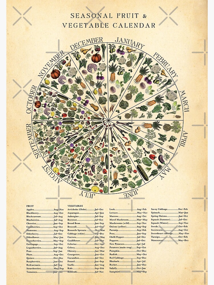"Seasonal Fruit & Veg Chart Monthly Calendar" Poster for Sale by